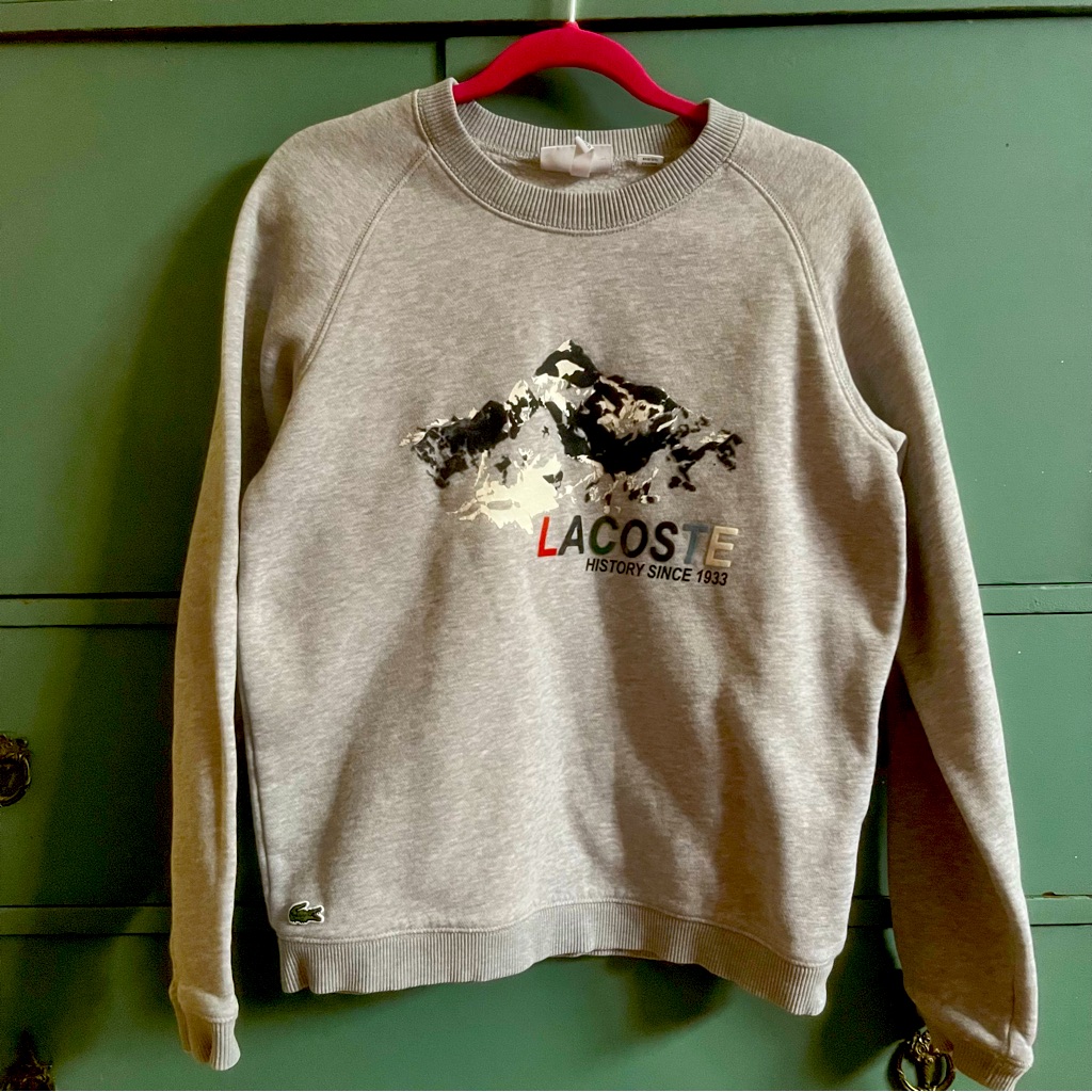 Kids Unisex Gray Lacoste Sweatshirt Kids Unisex Gray Lacoste Sweatshirt
